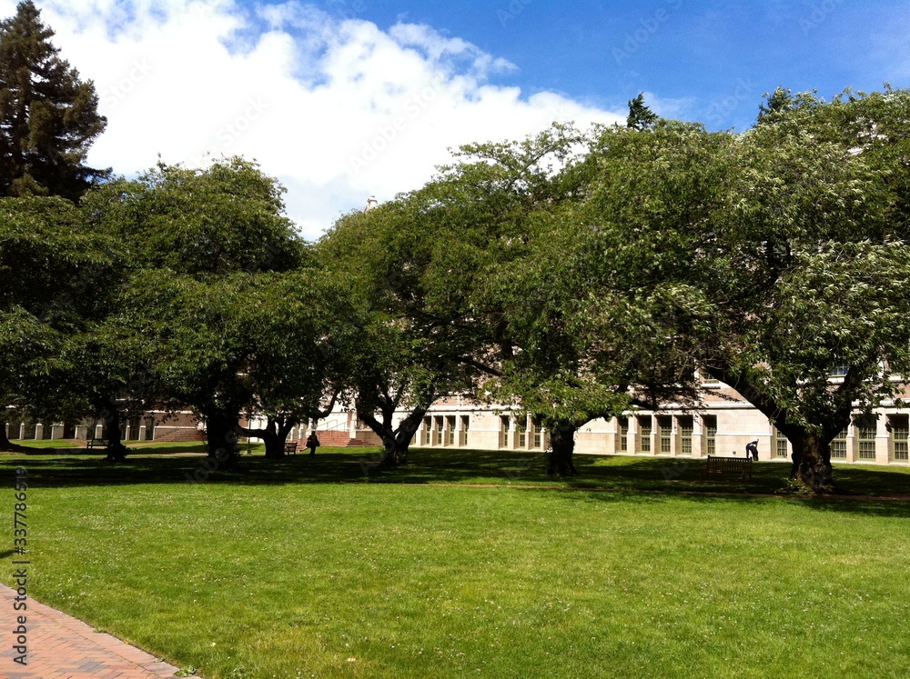 Fototapeta premium University of Washington state buildings