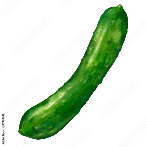 Wallpaper Mural きゅうり　胡瓜　キュウリのイラスト Torontodigital.ca