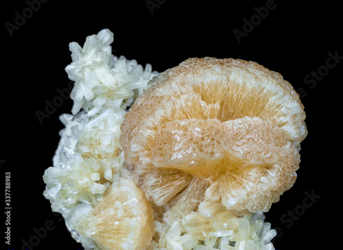 Yellow Stilbite on a black ...