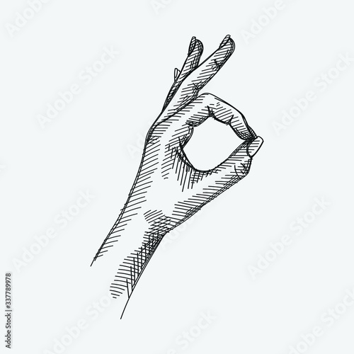 Hand-drawn sketch of a Ok Hand Sign on a white background. Hand Signs And Gestures. Hand poses. 
