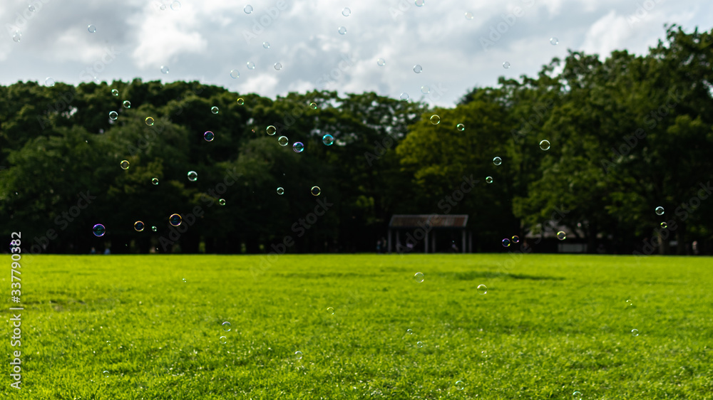 Naklejka premium Soap bubbles in the Yoyogi Park, Tokyo.
