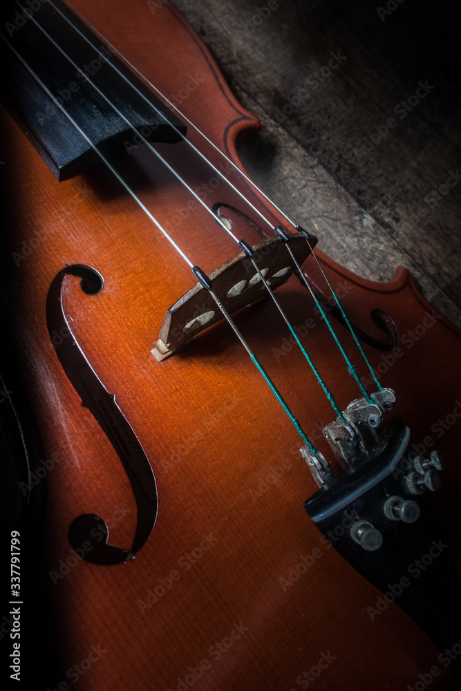 Fototapeta premium violin bridge detail view with strings
