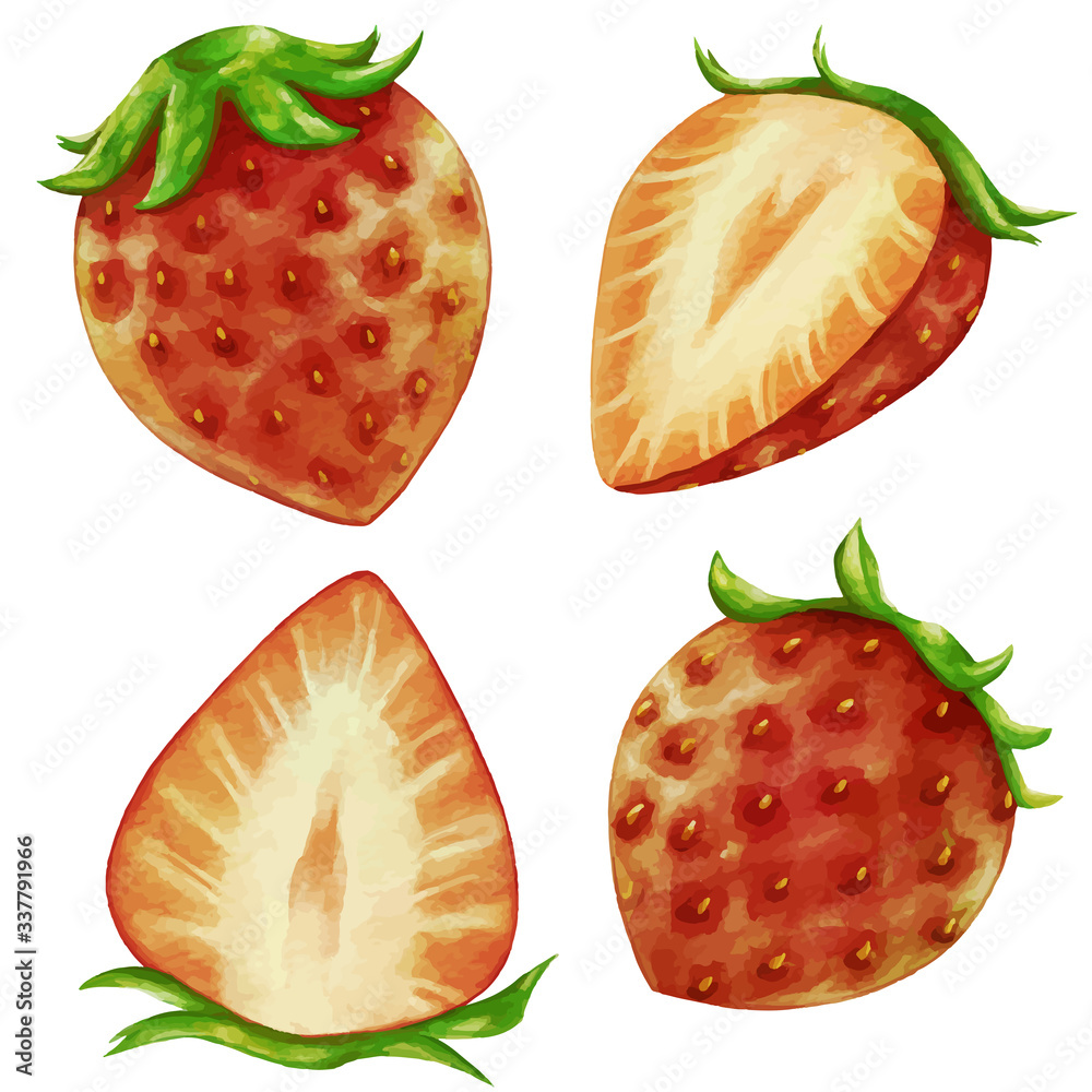 13 Best 苺の断面 Images Stock Photos Vectors Adobe Stock 13 Best 苺の断面 Images Stock Photos Vectors Adobe Stock