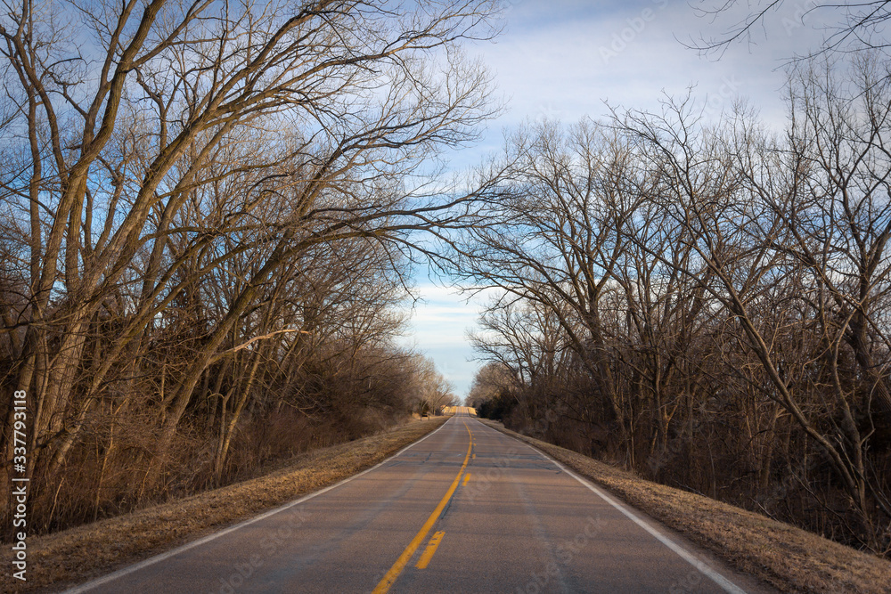 road in the forest