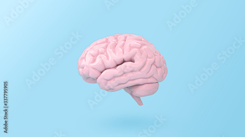 minimal pink brain in view front on blue background