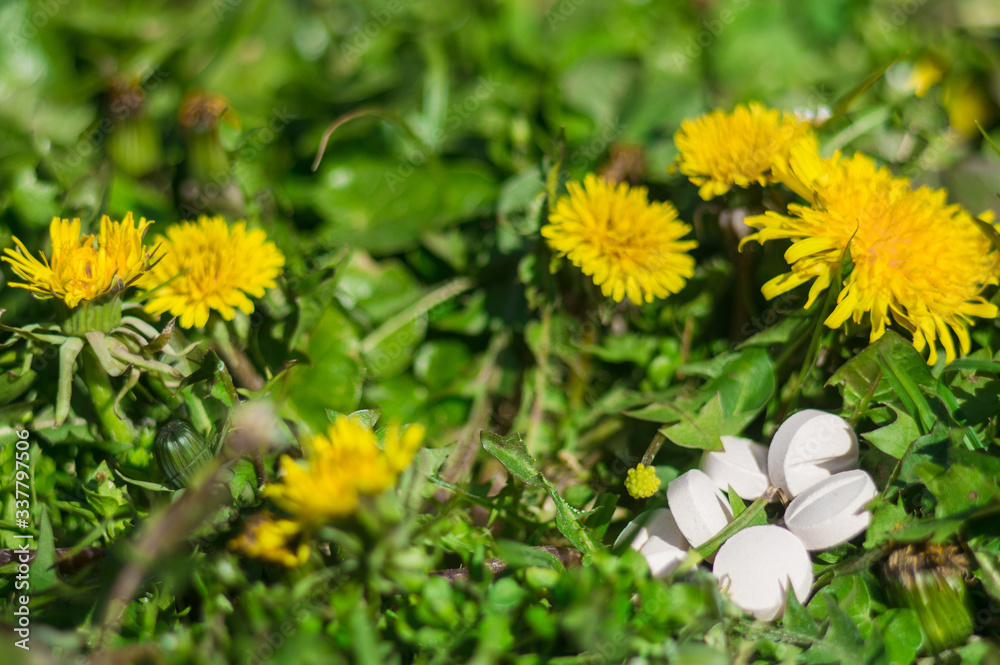 White pills in the grass with flowers White pills in the grass with flowers