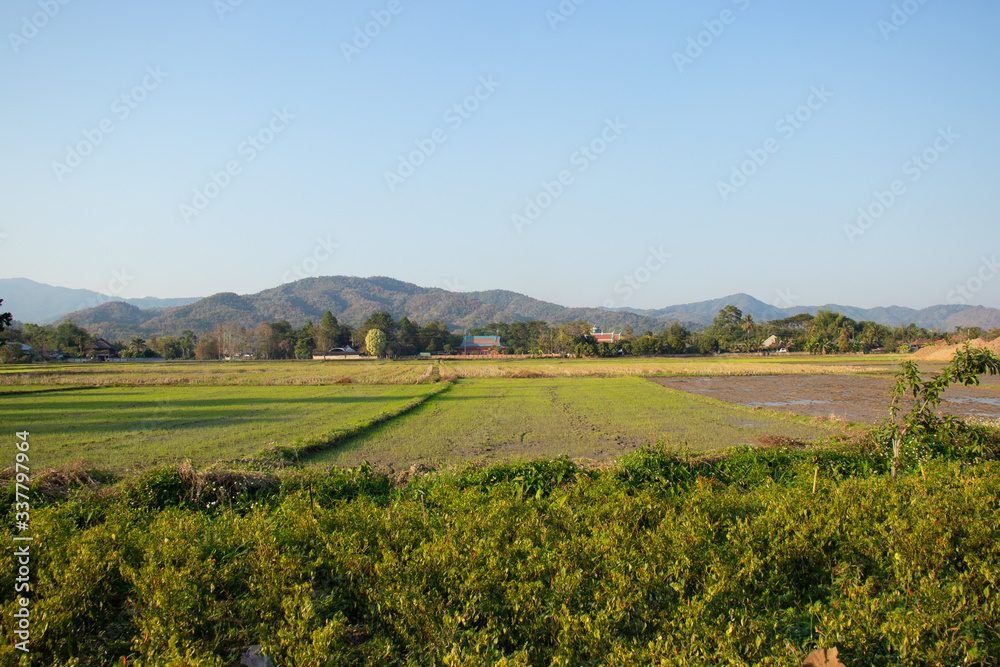A beautiful view of Chiang Rai city and its nature at Thailand. A beautiful view of Chiang Rai city and its nature at Thailand.