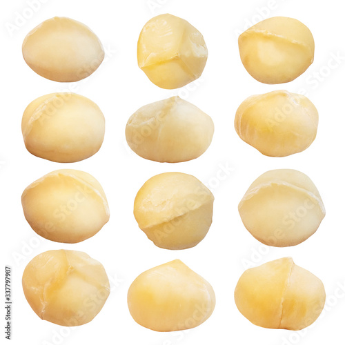 Macadamia nuts isolated on white background photo