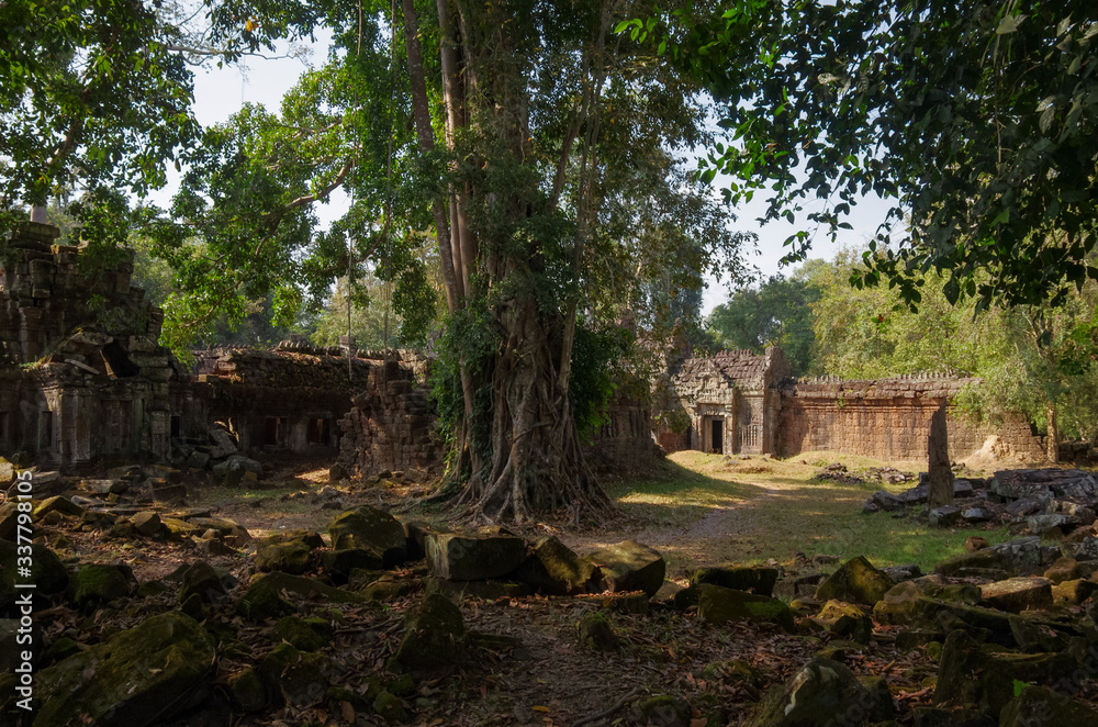 Preah Khan Temple, Angkor Wat Temple Complex, Cambodia.