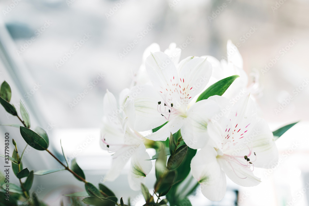 White alstroemeria with eucalyptus branch flower in the small bottle