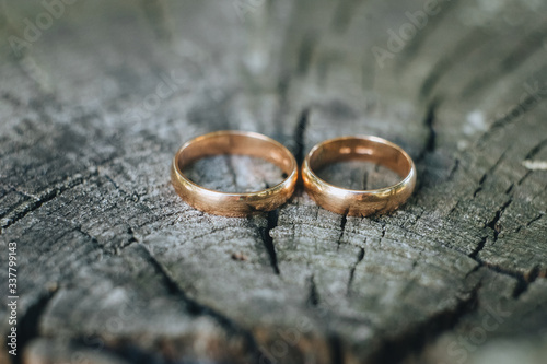 Wedding gold rings lie on a wooden log close-up. Photography, concept.