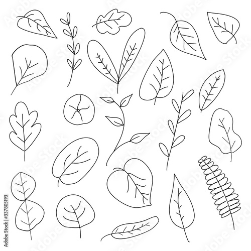 hand-drawn doodle vector leaves Set