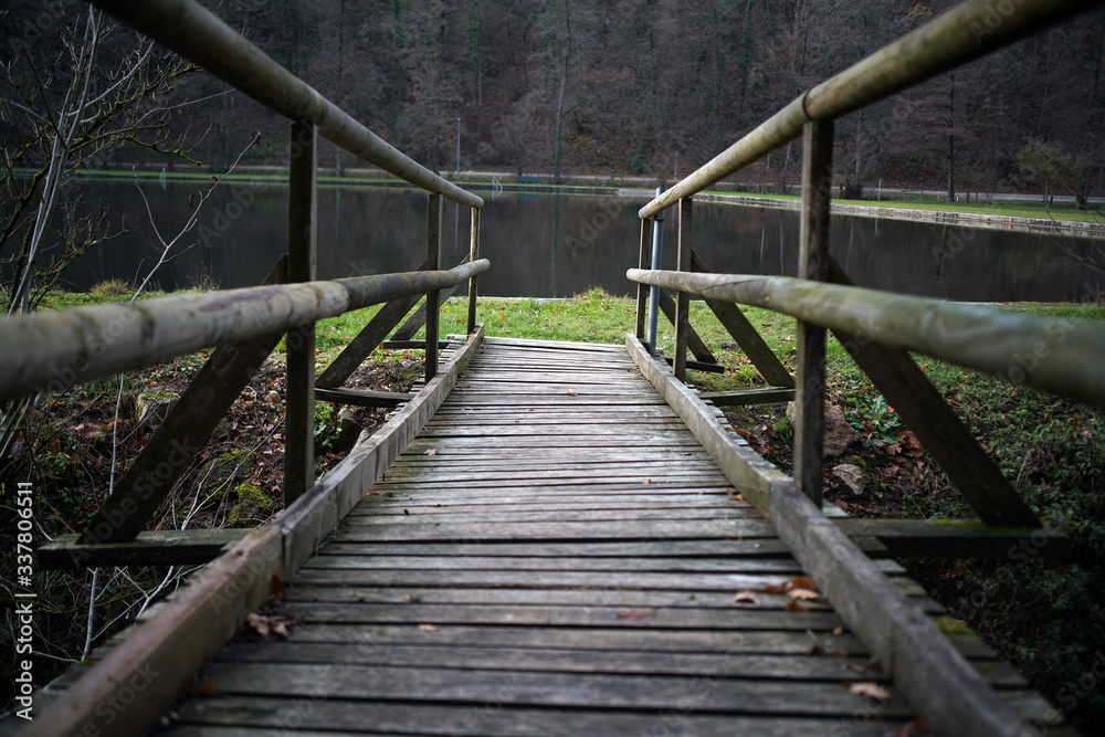 Obraz premium wooden bridge in the forest