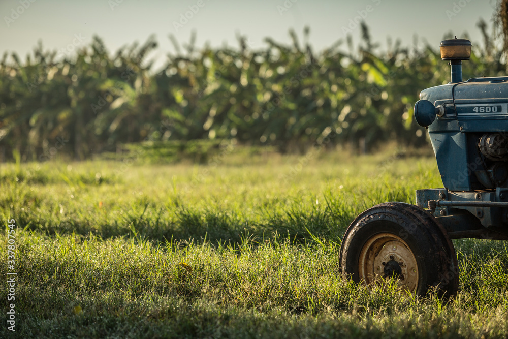 Obraz premium machine, tractor, farm, field, nature, agriculture, trator, campo, fazenda, agricultura