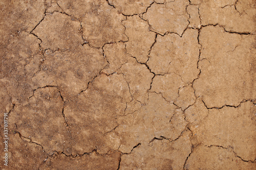 Dry soil texture background. Any use