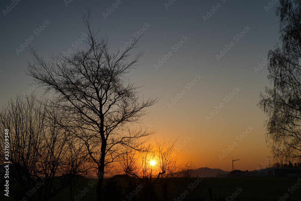 Naklejka premium Romantischer Sonnenaufgang, Sonnenuntergang auf dem Land - oranger Himmel, Bäume und Äste als Schatten, im Hintergrund der Hesselberg