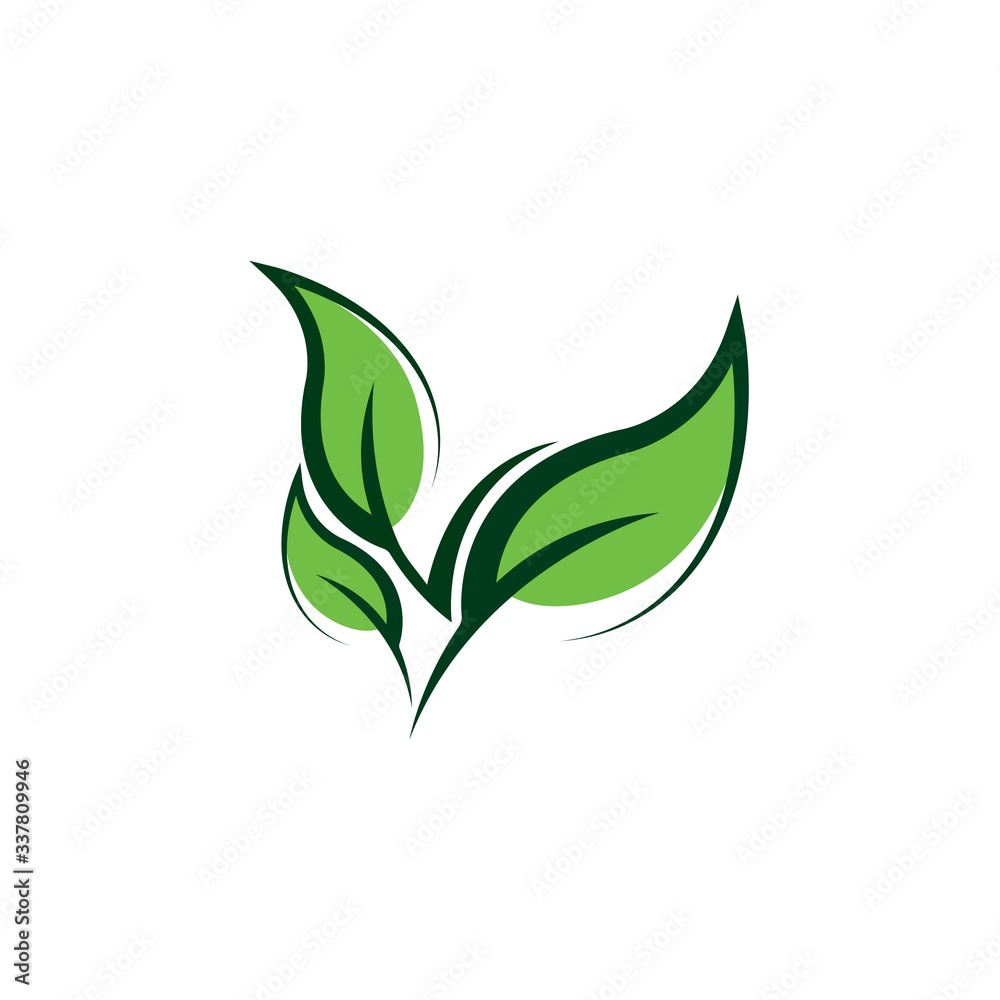 Obraz premium green leaf ecology nature vector icon 