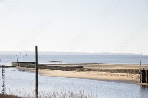 paysage bord du bassin d  arcachon - ballade de Lanton - quatro