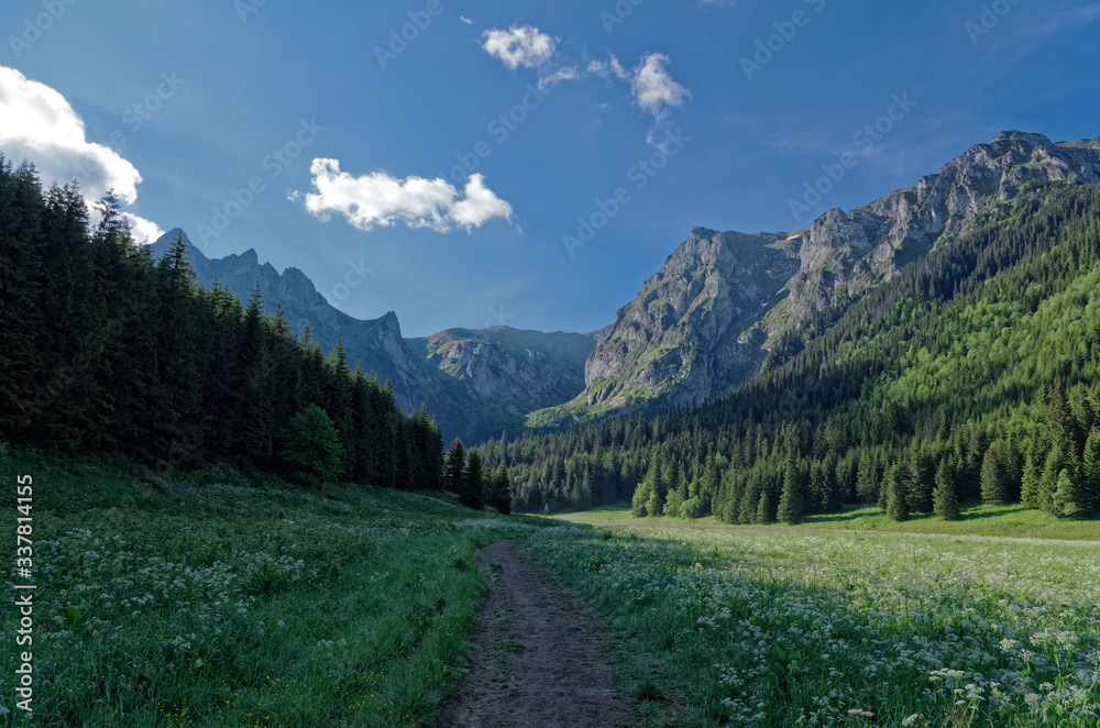Tatra valley in the morning. Tatra valley in the morning.