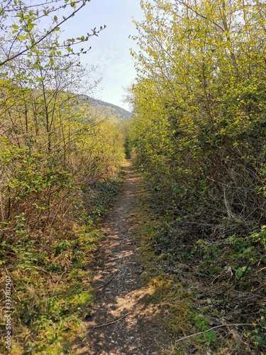 nature path