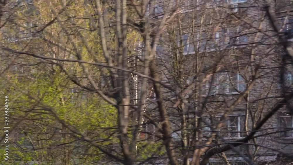 Old abandoned multistory gray living buildings after the Chernobyl accident behind bald trees and with green leaves. Inside view from the driving car. Dangerous radioactive zone. Slow motion Old abandoned multistory gray living buildings after the Chernobyl accident behind bald trees and with green leaves. Inside view from the driving car. Dangerous radioactive zone. Slow motion
