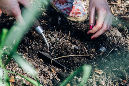 Wallpaper Mural Young girl digging soil in the garden in the springtime Torontodigital.ca