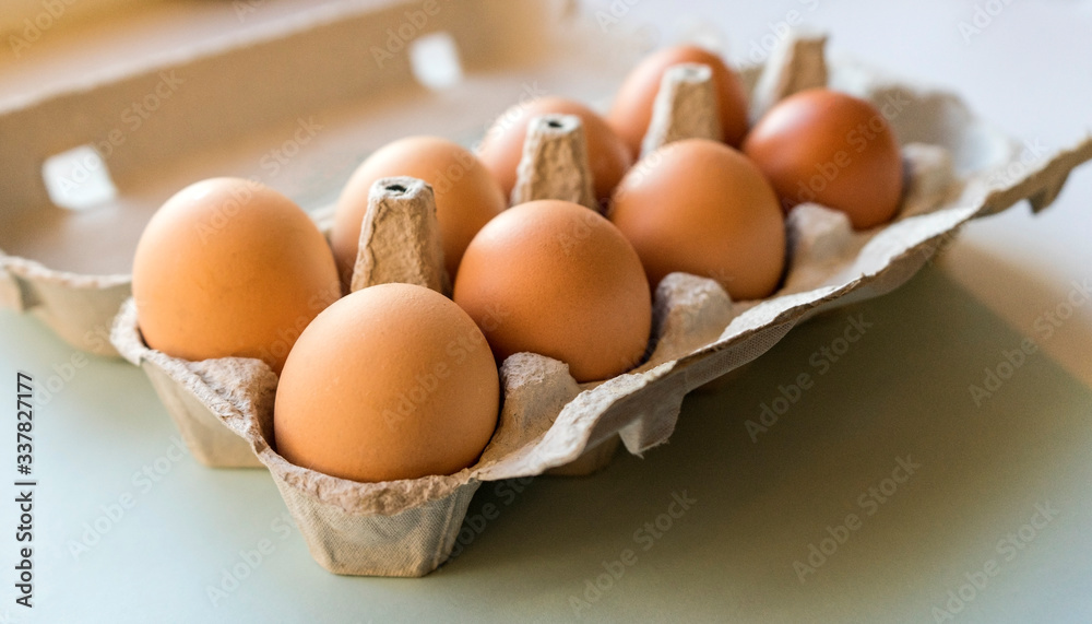 The eggs The eggs