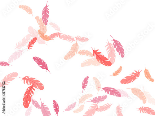 Detailed majestic feather on white design.