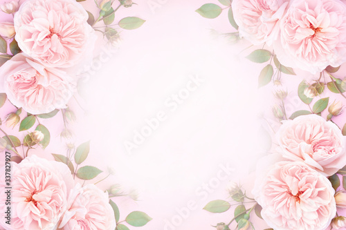 Fototapeta Naklejka Na Ścianę i Meble -  Delicate blossoming roses frame, blooming flowers festive background, pastel and soft bouquet floral card, toned	