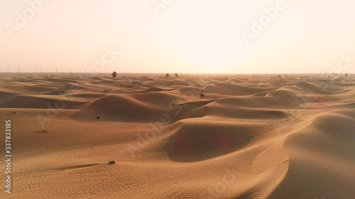 Middle East aerial 4k video for your Expo2020 promo. Perfect wide angle view. Dubai desert with plants