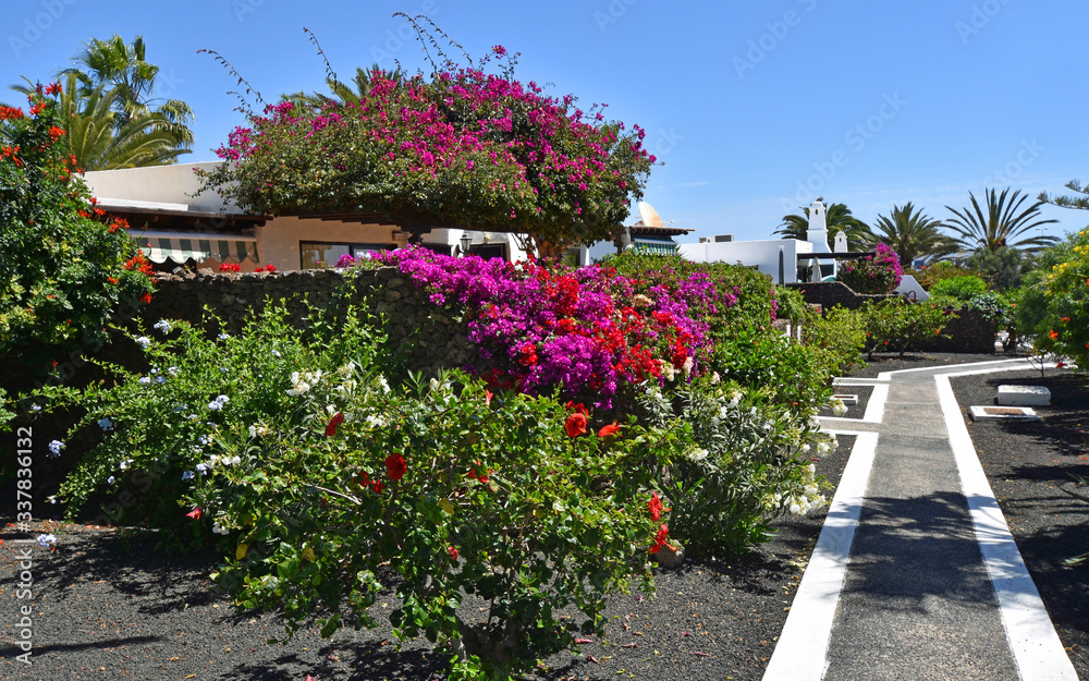 Holiday Villas and Gardens with Bougainvillea and path.