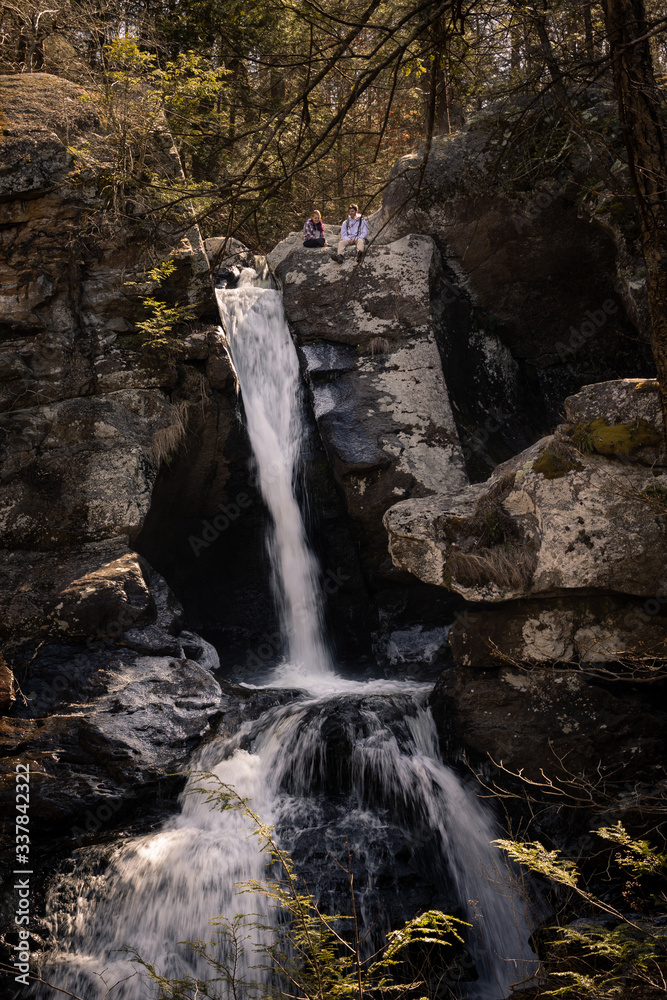 Obraz premium waterfall in the forest