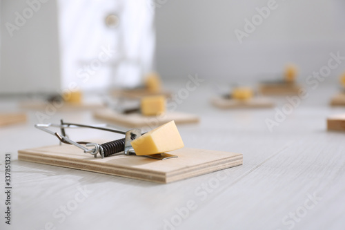 Mousetraps with pieces of cheese on floor indoors. Pest control photo