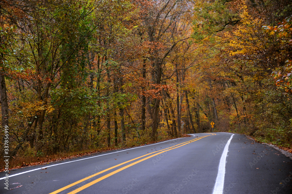 Continuing road in autumn Continuing road in autumn