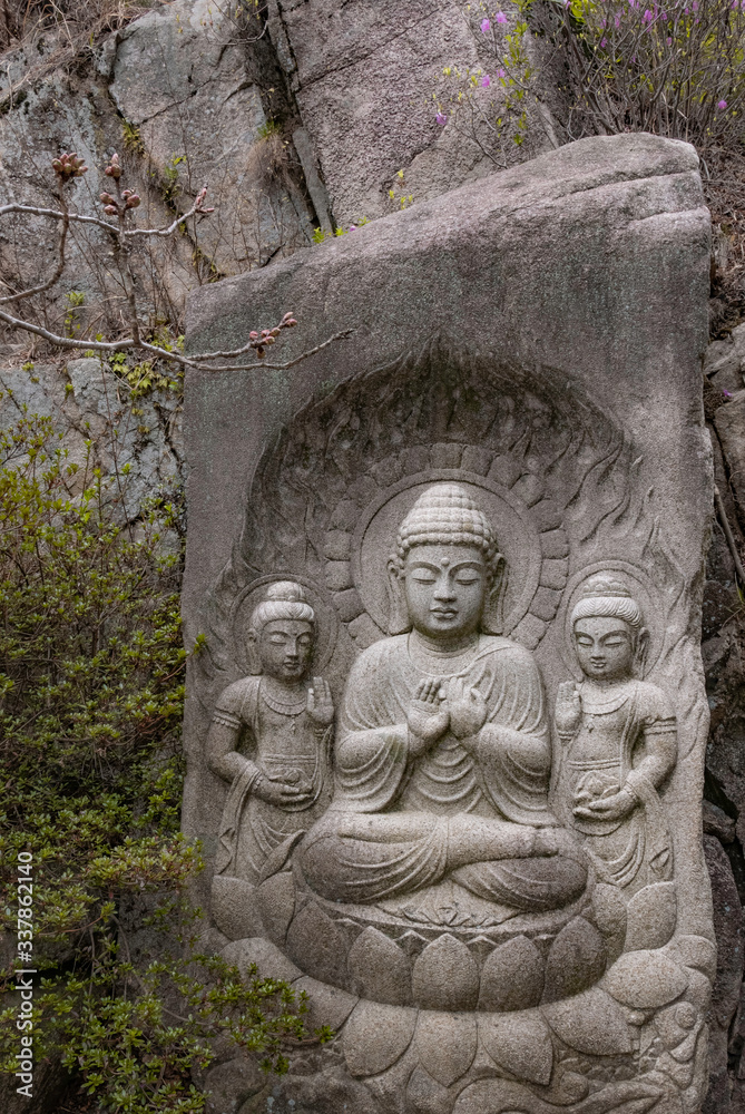 Buddha's Statue Buddha's Statue