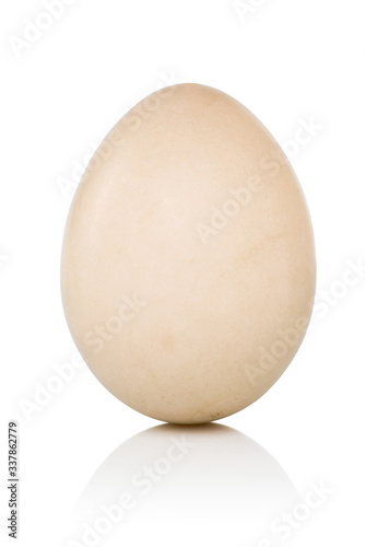 Duck egg isolated on white background