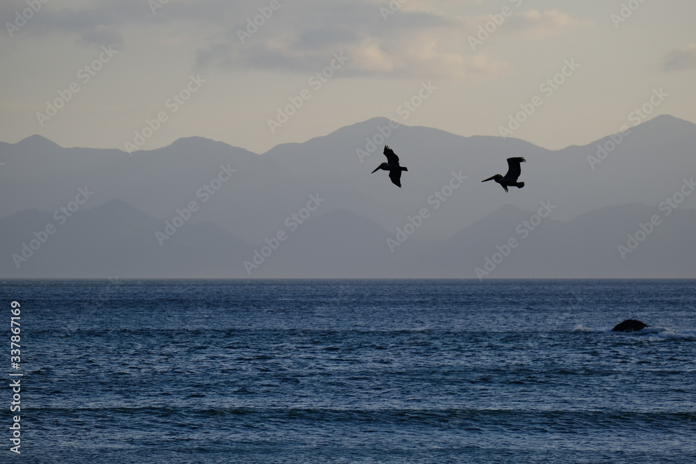 Two pelicans flying above the sea