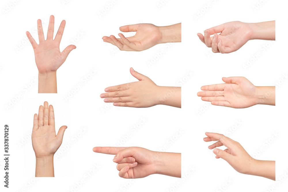 Set of  Woman hand gestures isolated