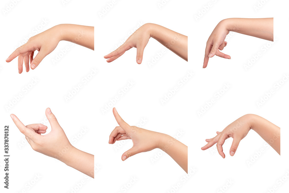 Set of female hands isolated on white Set of female hands isolated on white