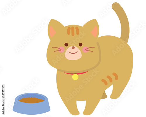 猫と餌