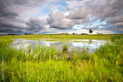 Clearing storm clouds over a wetland habitat. photo