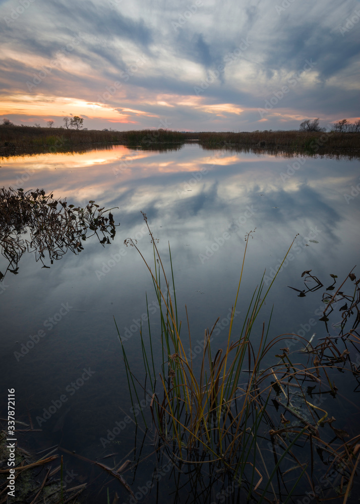 A dramatic sunset sky reflected in the calm surface of a wetland nature preserve.