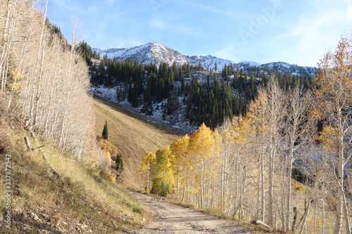 Aspens in fall with snowcapped Wasatch Range behind