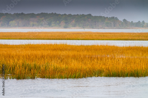 Open Salt Marsh in Reheboth Bay From Burton Island, Delaware Seashore State Park, Delaware, USA