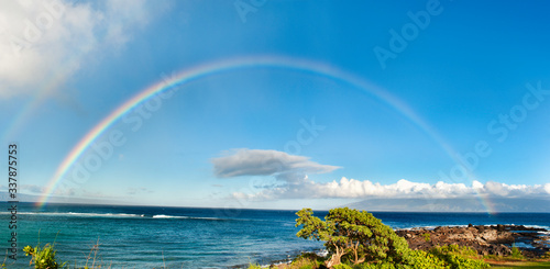 Tropical Rainbow