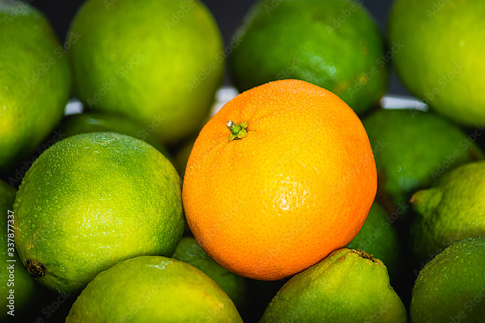 Fresh Orange fruit with bunch of green lemons Fresh Orange fruit with bunch of green lemons