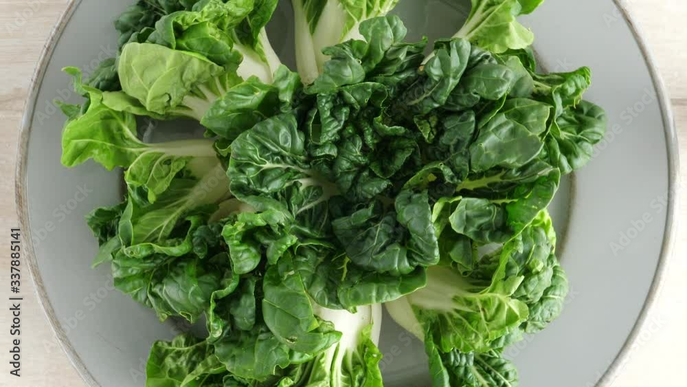 Green pok choy cabbage leaves. Rotate. Nobody Green pok choy cabbage leaves. Rotate. Nobody