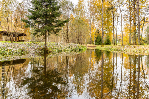 Forest lodge in backwoods, Wooden arbor, wild area in beautiful forest in Autumn, Specular reflection in water, Valday national park, yellow leafs at the ground, Russia, golden trees, cloudy weather