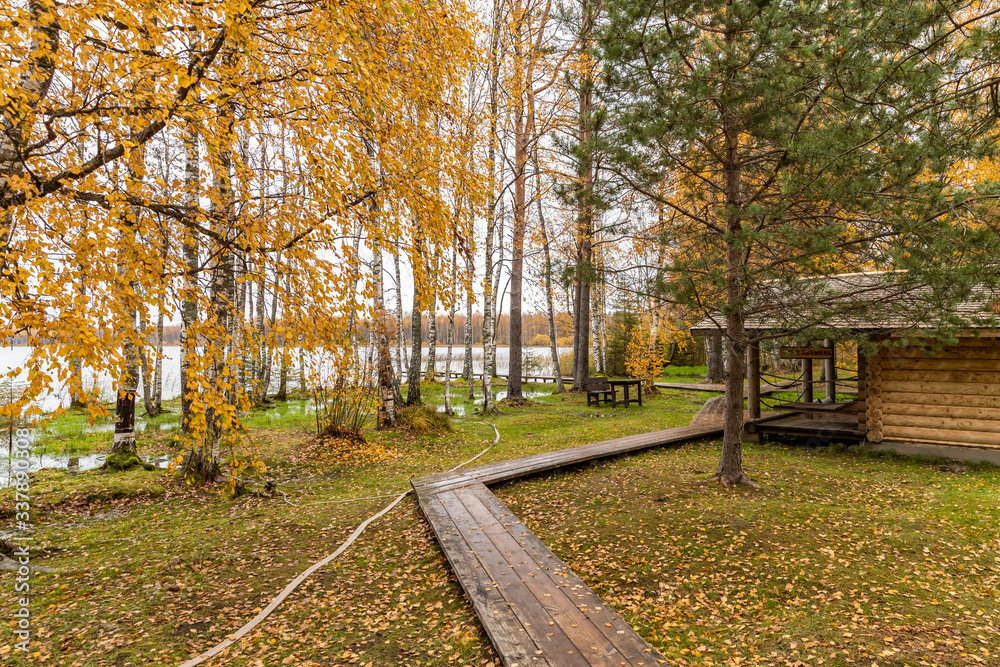 Forest lodge in backwoods, wild area in beautiful forest in Autumn, Valday national park, yellow leafs at the ground, Russia, golden trees, cloudy weather
