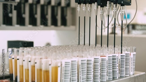 test tubes in laboratory